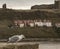 Whitby - gloomy day by the sea and a seagull.