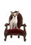 White adult chihuahua dog sitting in a red and brown antique baroque chair