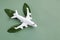 White airplane on green background. Sustainable Aviation Fuel, clean green energy concept.