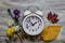 White alarm clock surounded by fresh fall flowers foliage on wooden board flat lay copy space