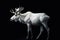 White albino moose. AI generative image.