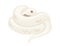 White albino snake cartoon animal design flat vector illustration isolated on white background