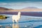 White alpaca on the Laguna Colorada, Altiplano, Bolivia.
