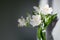 White alstroemeria flowers with green leaves on gray background with sun light and shadow close up