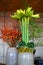White amaryllis, bunch of creme-white amaryllis, bunch of red berries and grass in vases