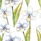 White amaryllis. Floral botanical flower. Seamless background pattern.