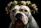 White American Bulldog with a crown of delicate light flowers. American bulldog in a wreath of bright flowers.