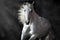 White andalusian horse in motion