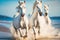 White Andalusian horses running beach