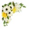 White anemones, yellow roses, eucalyptus leaves and freesia flow