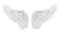 White angel wing isolated