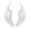 White Angel Wings Isolated