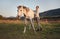 White Arabian horse, autumn afternoon, detail on head, blurred smiling young woman in warm jacket holding its back