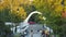 White arch and stairs near passway at enter to city park