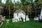 White arch for the wedding ceremony