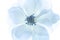 White artificial flower isolated