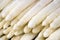 White asparagus