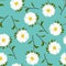 White Aster, Daisy on Green Teal Background. Vector Illustration