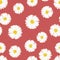 White Aster, Daisy Seamless on Red Background. Vector Illustration