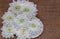 White asters on a heart-shaped plate lie against a background of burlap. Rough texture natural fabrics, white petals