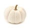 White autumn pumpkin