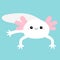 White axolotyl. Mexican salamander. Cute axolotl. Ambysoma mexicanum. Cartoon kawaii funny smiling baby character. Water dragon.