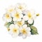 White Azalea Flowers: A Stunning Watercolor Painting On White Background