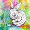 White baby rabbit washing, drawing on colorful abstract background.