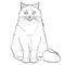 White background, black lines. Pet. Siamese cat or Siberian coloring Neva Masquerade. Vector