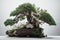 White background bonsai, highly detailed, studio lighting