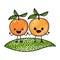 White background of colored crayon silhouette of realistic pair of orange fruits caricature over grass