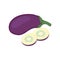 On a white background, a delicious eggplant vegetable is isolated