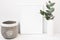 White background frame mockup, green eucalyptus in ceramic vase, cement pot, styled image
