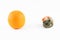 On a white background, a ripe orange and a spoiled orange covered with mold