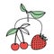 White background with silhouette color sections set fruits apple cherries and strawberry