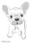 On a white background there is a silhouette of a bulldog dog. There is a small and cute puppy bulldog. Vector image
