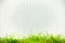 White background with vertical pattern and green grass below.Suitable for enter text in the middle.