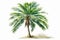 On a white background, a watercolor painting of a lone green palm tree is showcased. AI