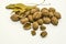 White background with yellowed walnut leaves, lying next to large nuts and with peeled walnut kernels