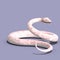 White ball python