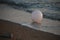 White balloon in the morning breaking wave. Kemer