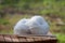 White balls of woll on a wooden chair