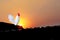 White bantam standing on roof home with sunrise on colorful sky morning background