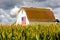 White Barn With Centennial Flag