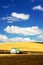 White Barn in a wheat filed under pretty sky