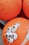 White barnacle shells attached to orange buoys