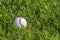 A white baseball on the fresh green grass