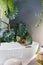 White bathroom with bathtub, green plants