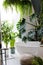 White bathroom with bathtub, green plants