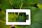 White battery icon on green leaves